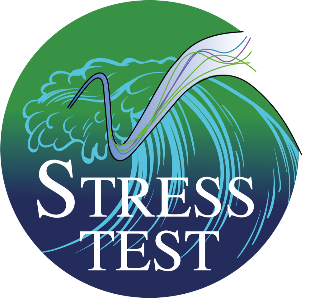 Chair Stress Test, Risk Management and Financial Steering